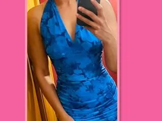 IndianHoneyBeeX