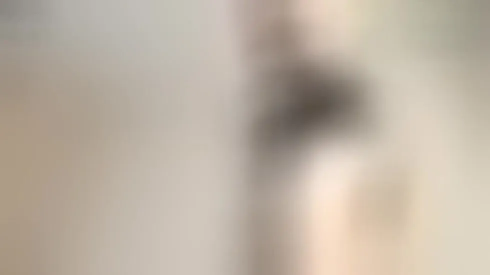 Teaser video 15