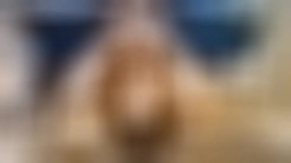 Artiest CelesteVelasco Video 1