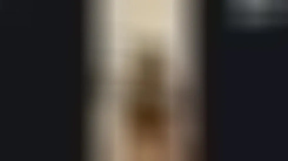 Intérprete Sisii Video 1