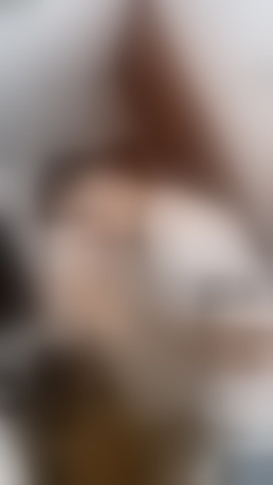 Intérprete BastianFox Foto 1