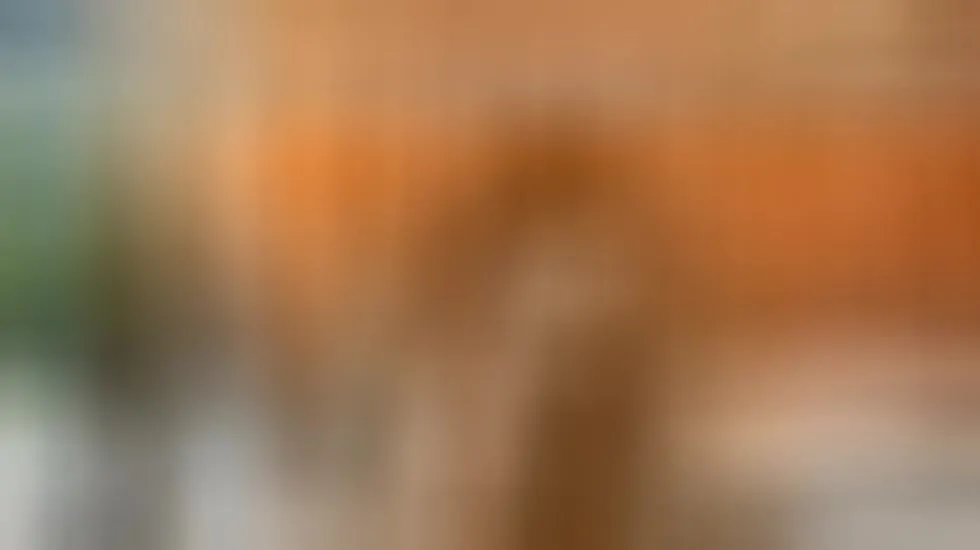 Performer AlaiaBell Video 1