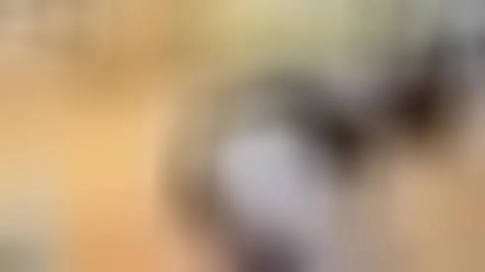 Intérprete YourMeal Video 1