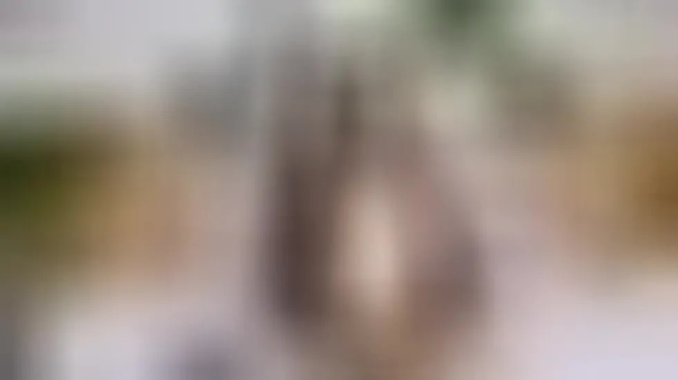 Teaser video 37