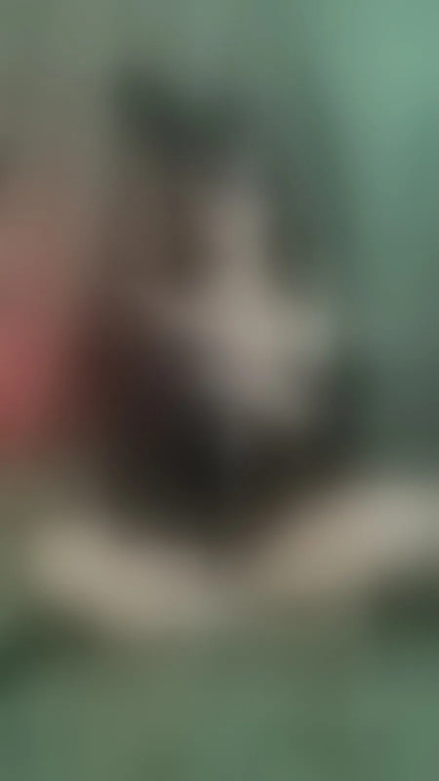Artista VanessaRouge Foto 8
