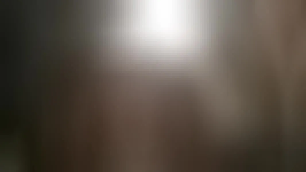 Interprète prettyTS Vidéo 1