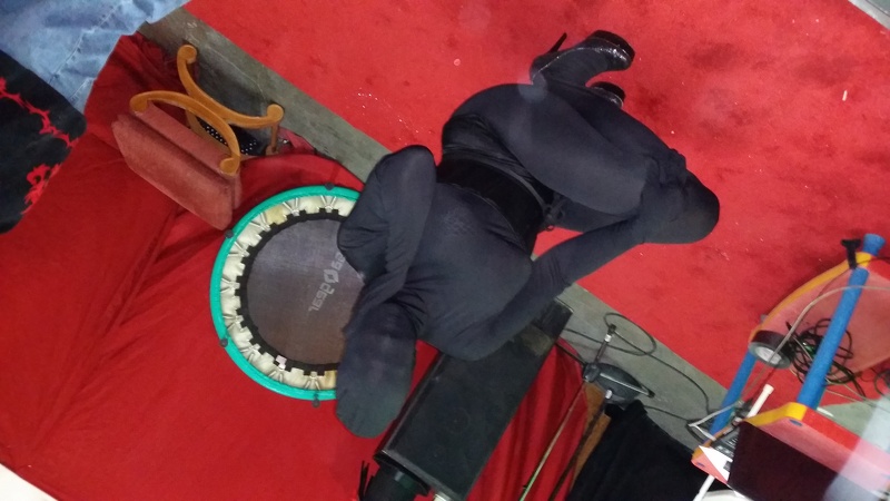 Artista Vivdavenport Foto 2