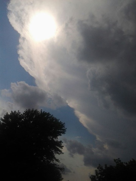 Utøver OneWave Bilde 2