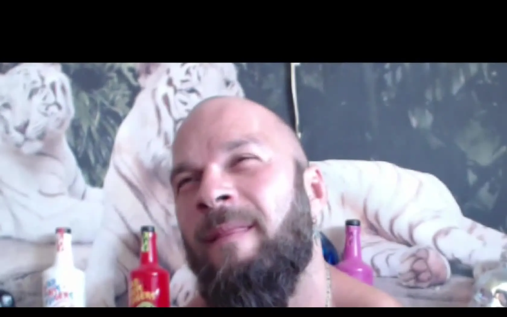 Artist Viking27 Video 1