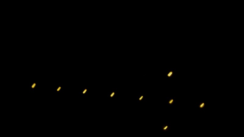 Interprete MayaBee Video 2