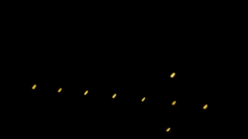 Artist MayaBee Video 2