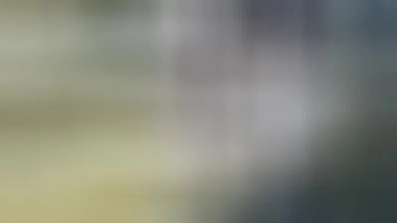 Artiest MayaBee Video 4
