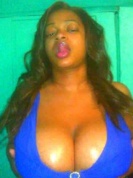 Interprète jasmineflowersbloom Photo 4