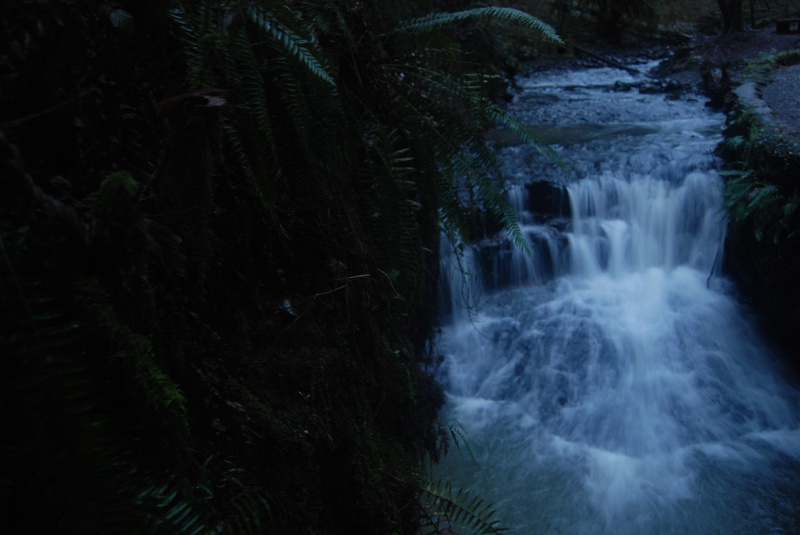 Interprète LovageX Photo 12