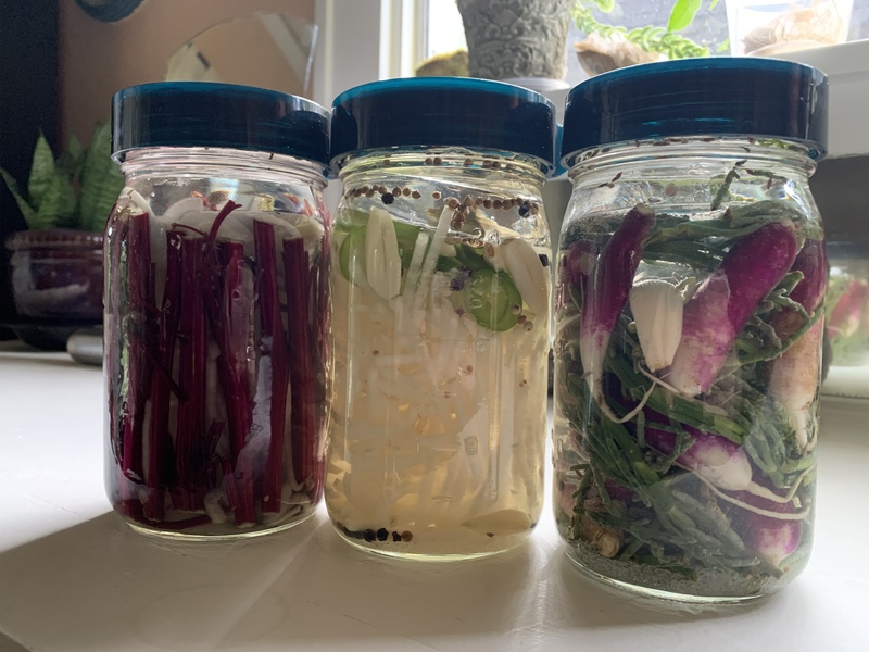 Interprète LovageX Photo 6