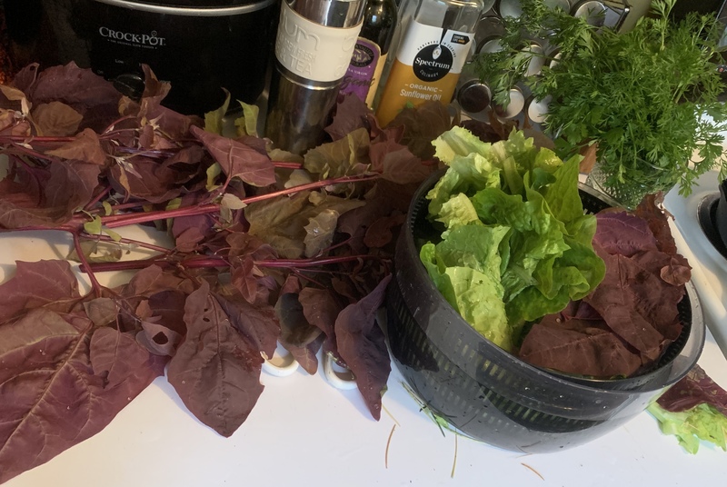 Interprète LovageX Photo 7