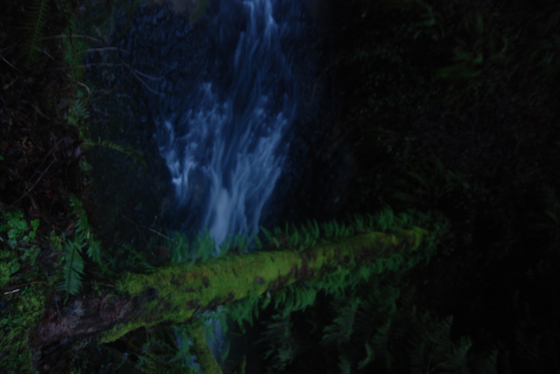 Interprète LovageX Photo 11