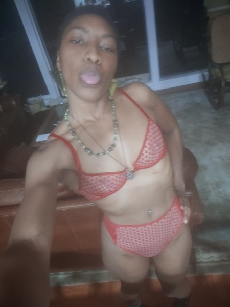 Artista GapingLotus Foto 7