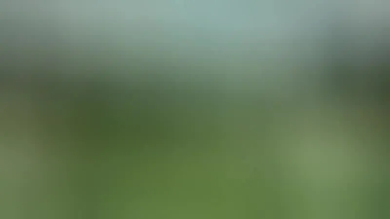 Interprète MelanieLover Vidéo 1