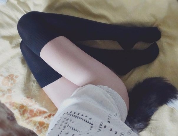 Interprète BringingLuck Photo 7