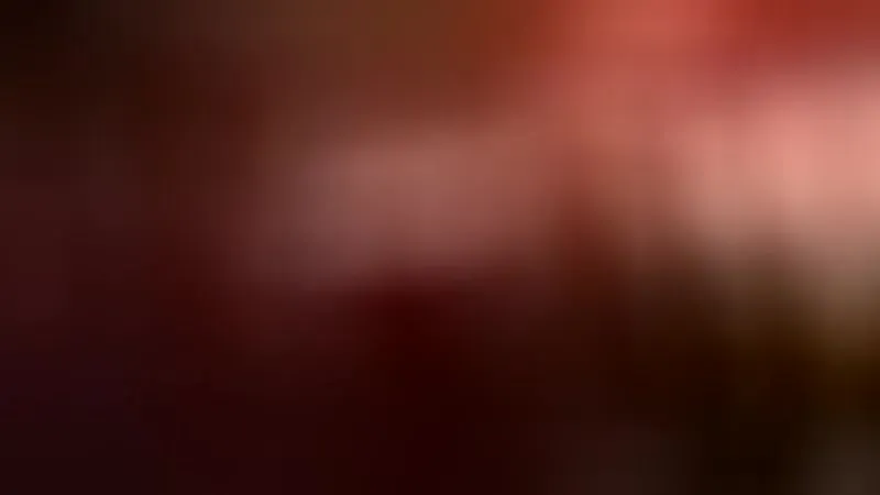 Interprète Alejandhra Vidéo 2