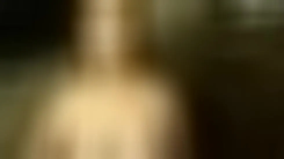 Darsteller IronLady Video 1