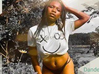 Dandeliones cam model profile picture