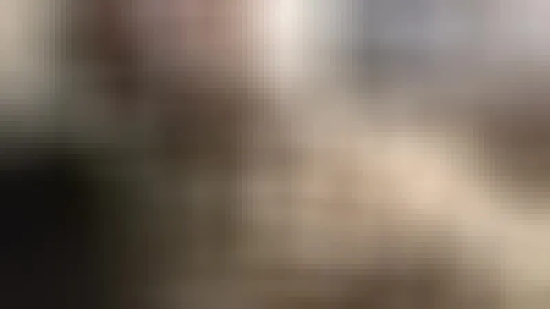 Interprete WonderTrans Video 2