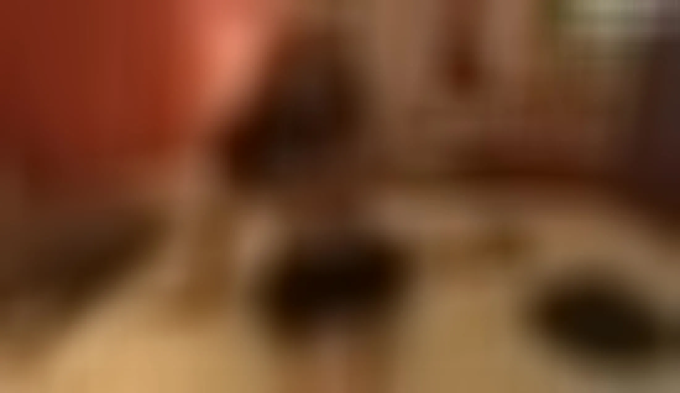 Utøver LV_Halley Video 2