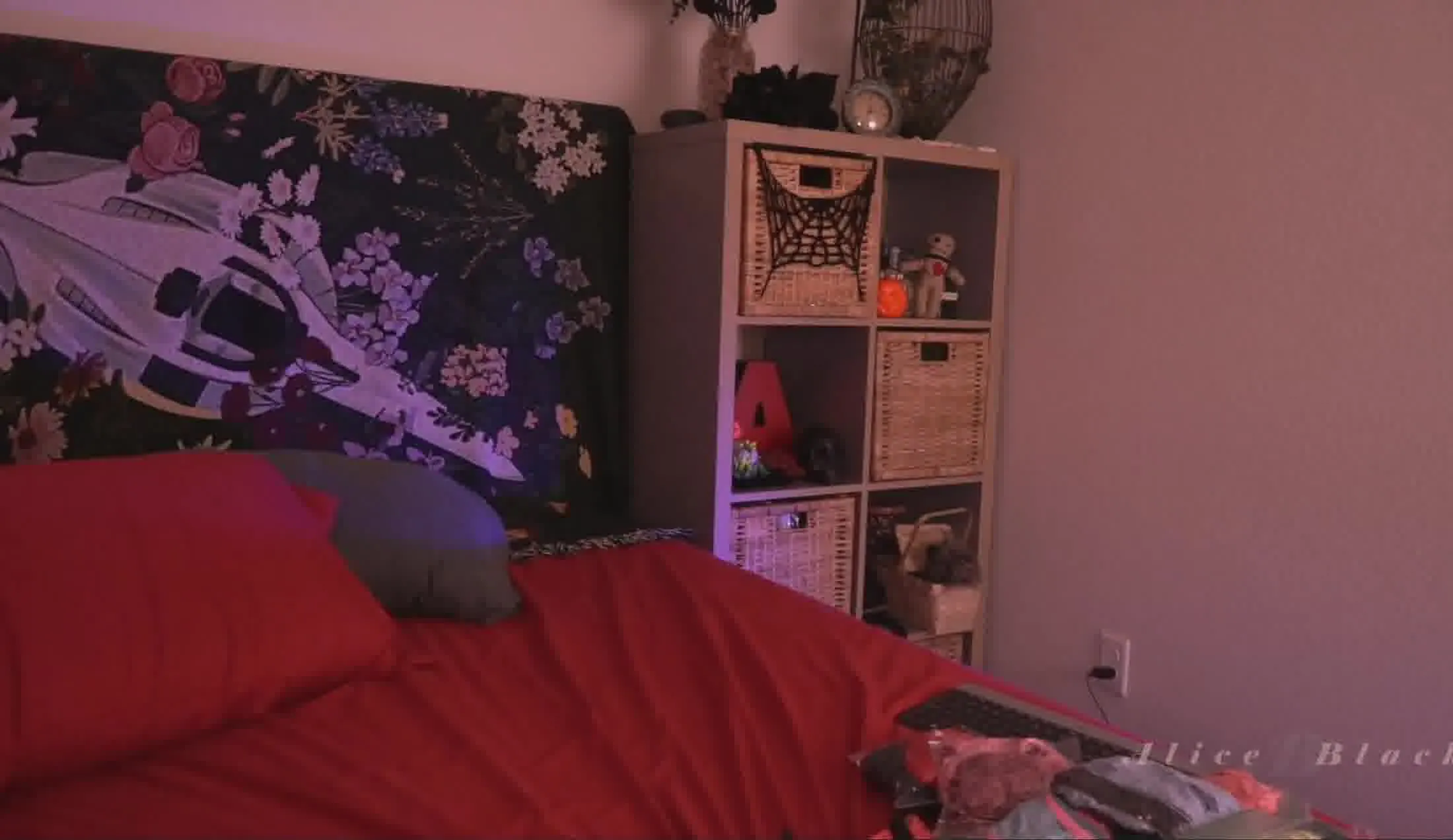 Artiest AliceBlack Video 1