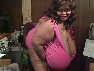 Performer NORMASTITZ Photo 12