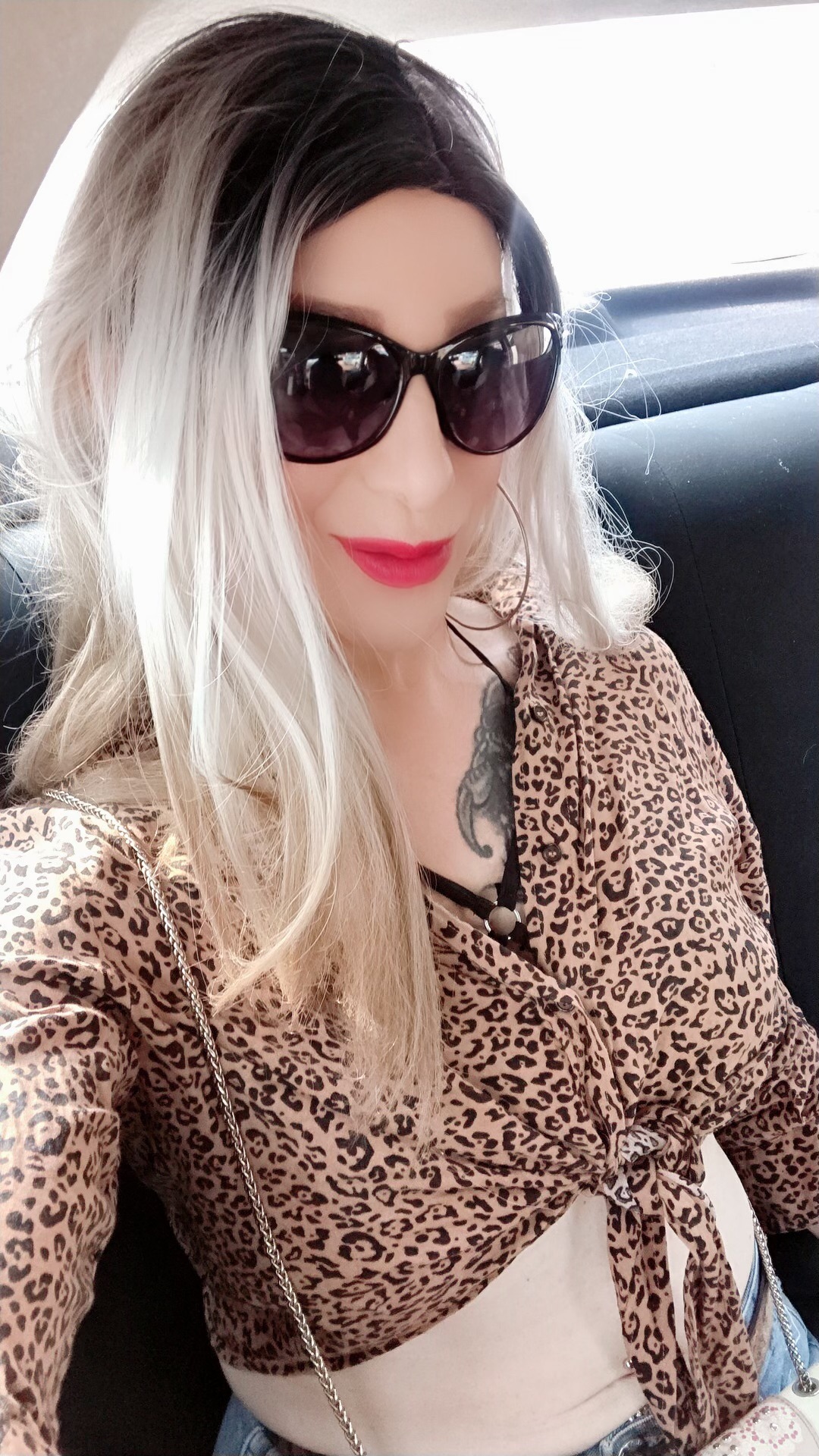 Artiest TransAgera Foto 10