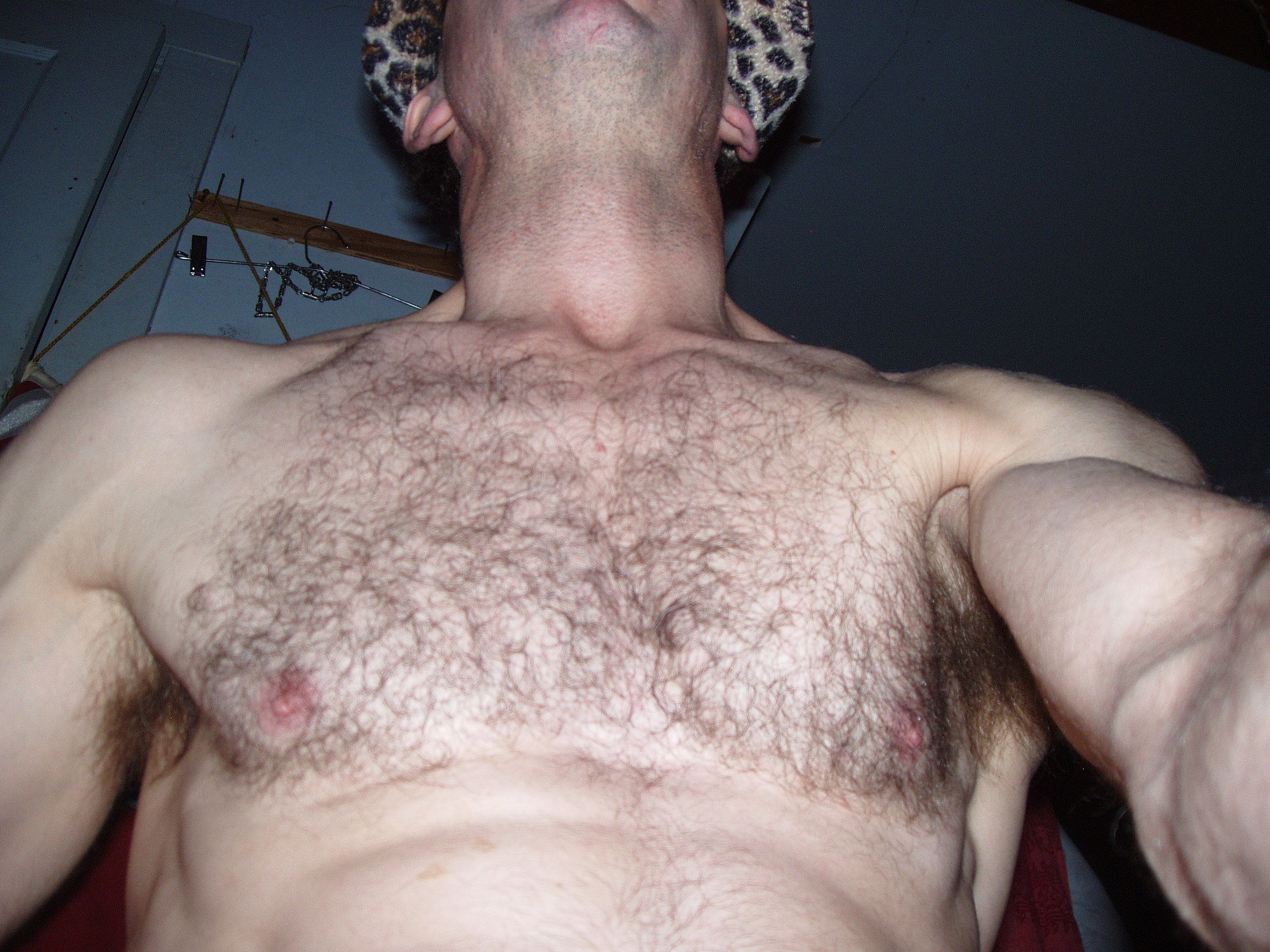 modelguy Profilbild des Cam-Modells 