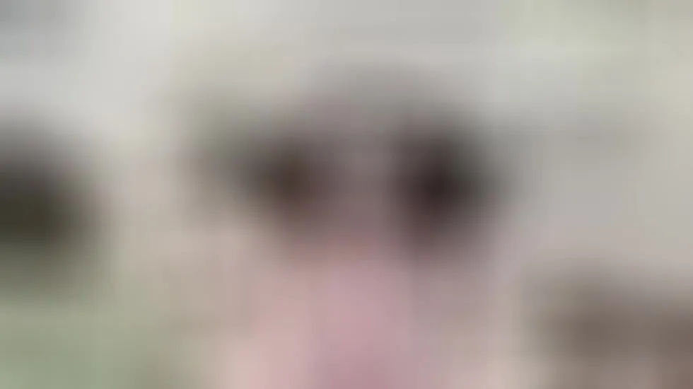 Artiest AmyFisher Video 1