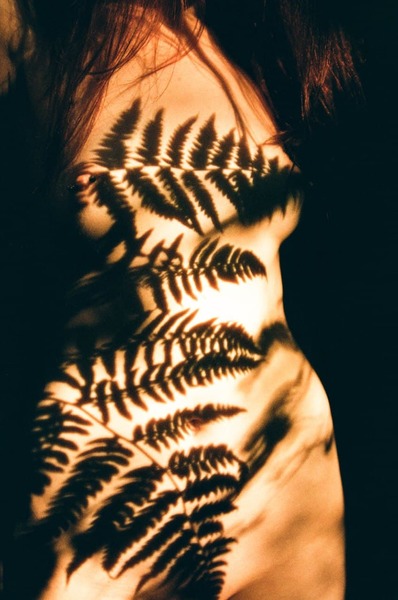 Artist LisaGingerBread Foto 11