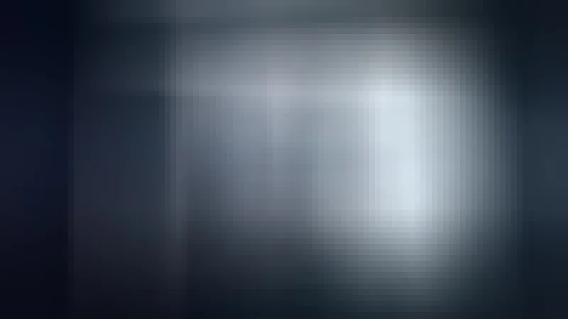 Interprète VikaBunny Vidéo 2