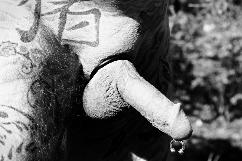 Interprète TattooedGentleman Photo 2