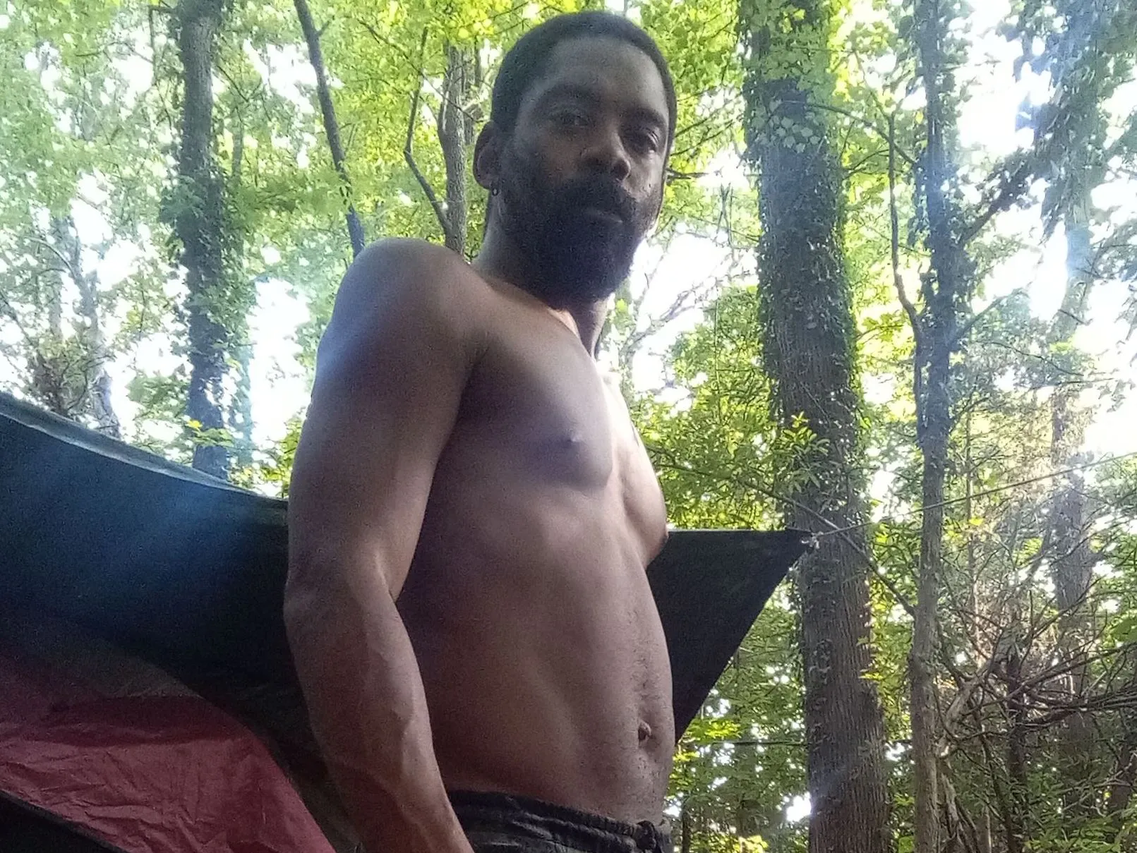 Wolf profilbild på webbkameramodell