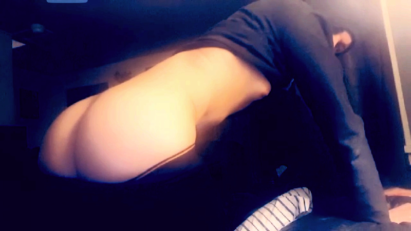 Interprète RedivivusPhoenix Photo 9