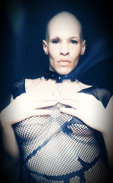 Interprète RedivivusPhoenix Photo 3