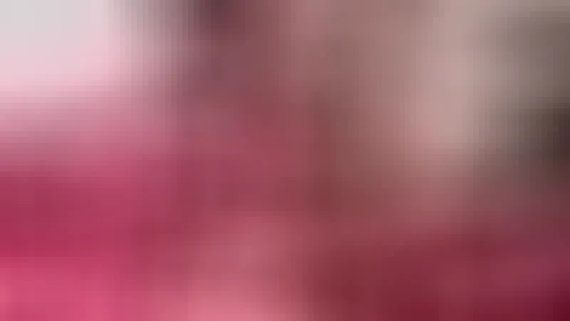 Interprète tifanyjhons19 Vidéo 2