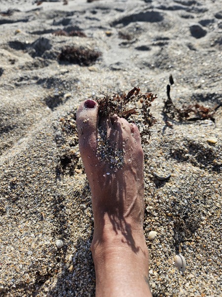 Interprete flower72 Foto 2