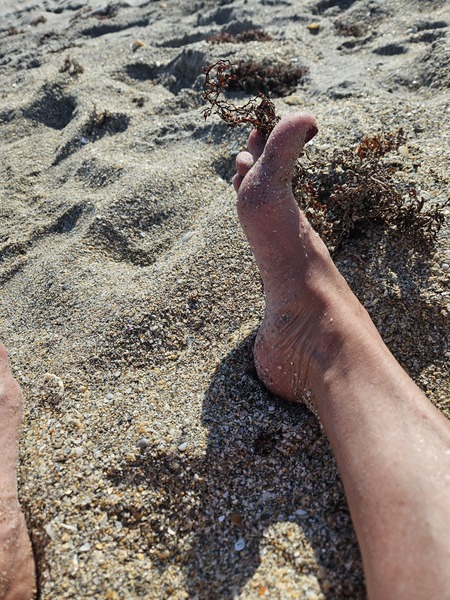 Interprete flower72 Foto 4