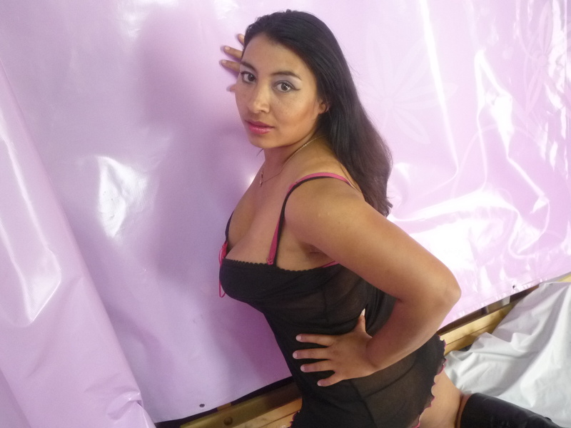 Artista Sibley Foto 11
