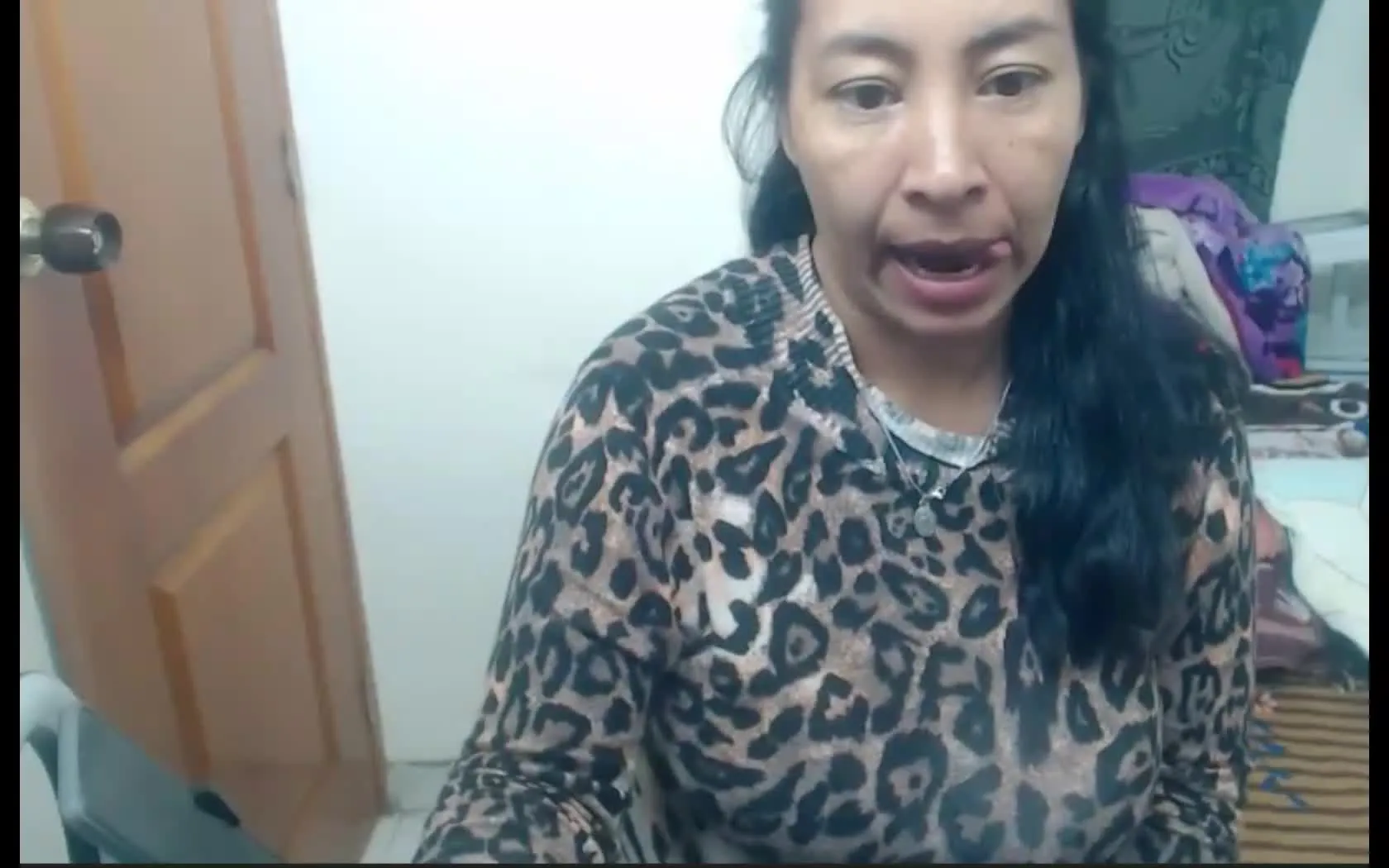 Artista Sibley Video 1