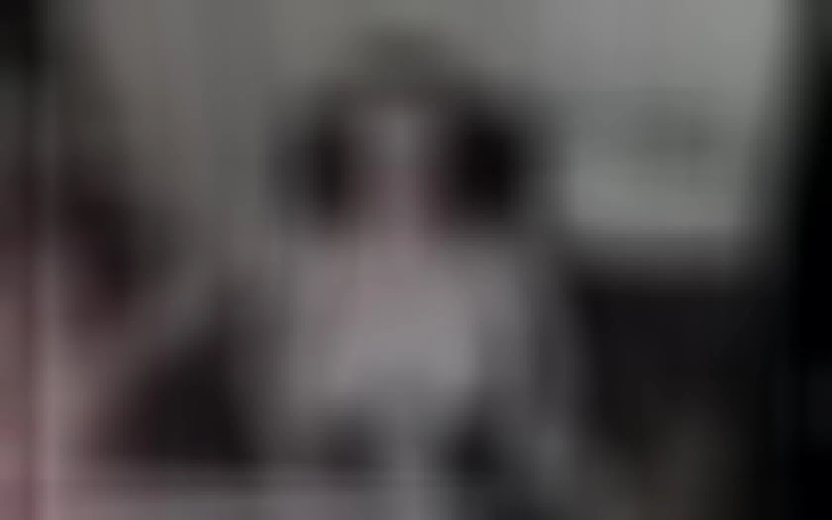 Interprète rose_westt Vidéo 1