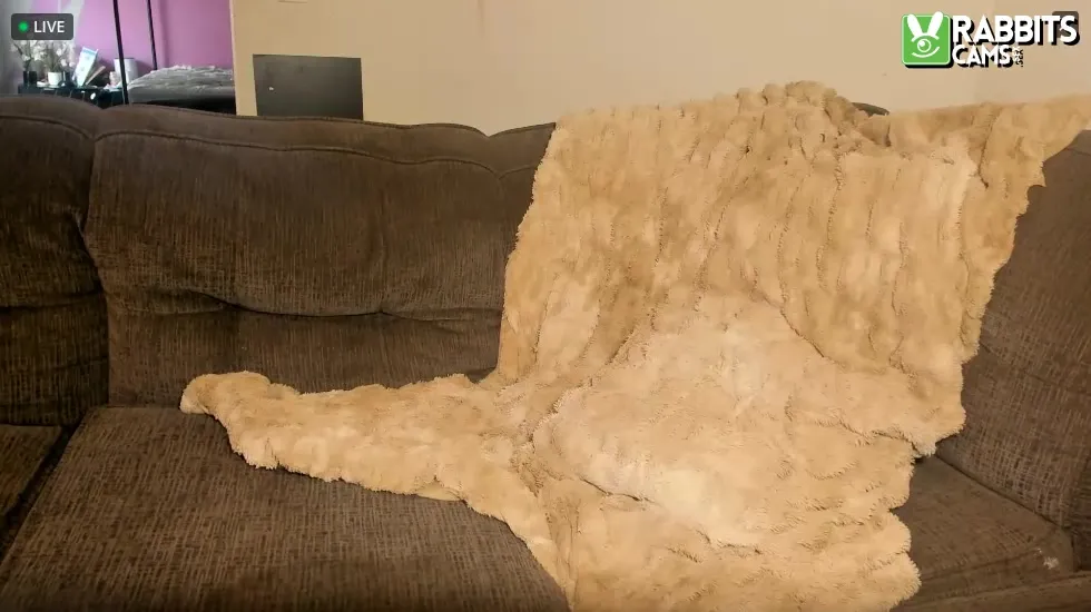 Artist Nicole_Lace Video 1