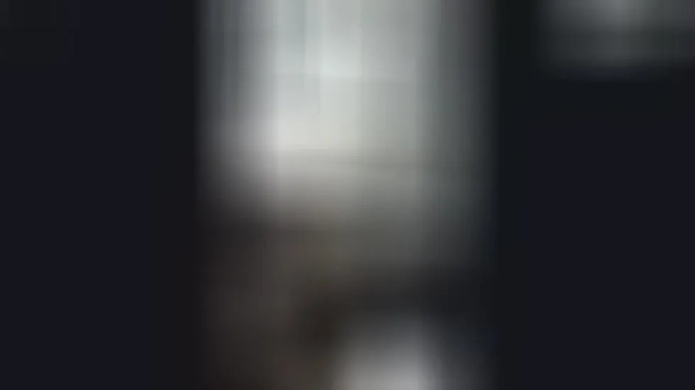 Artista TheNikkiFantasy Video 1