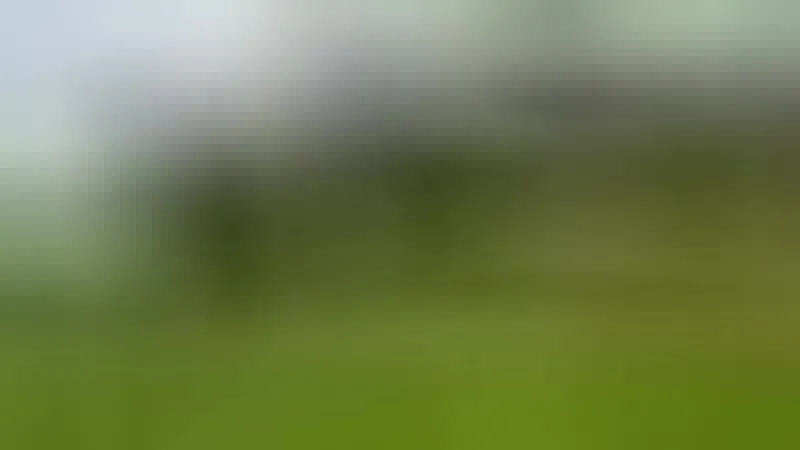 Interprete AnnyFitLove Video 2