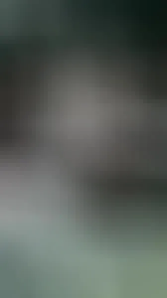 Interprete AnnyFitLove Video 1
